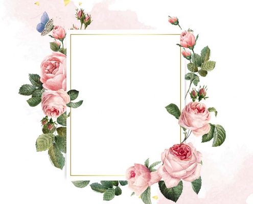 Blank rectangle pink roses frame on pink and white background vector