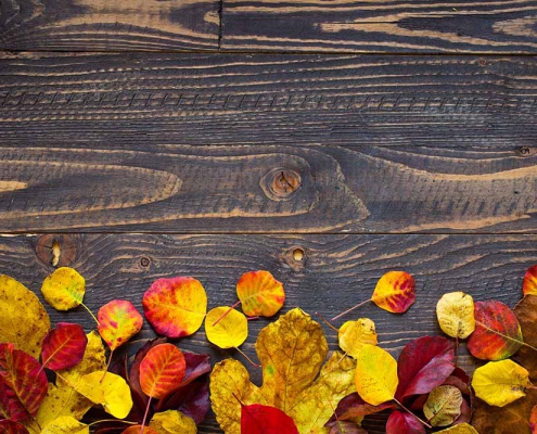 Colorful autumn leaves, over a wooden background
