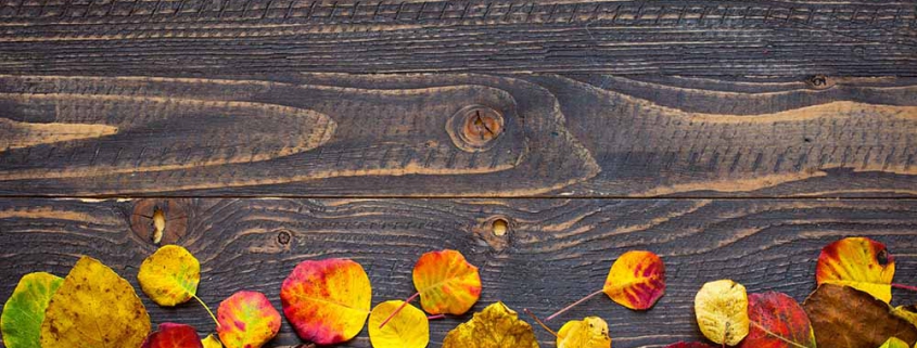 Colorful autumn leaves, over a wooden background