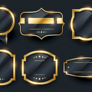 luxury golden badge and labels set design